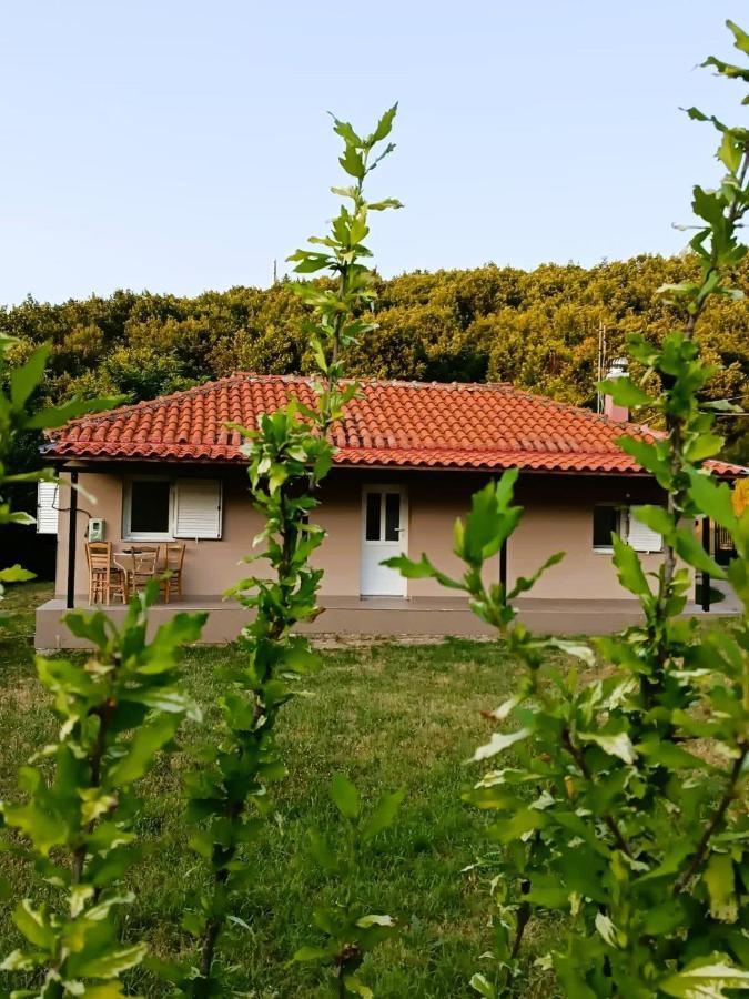 فيلا Billy'S House كالامباكا المظهر الخارجي الصورة