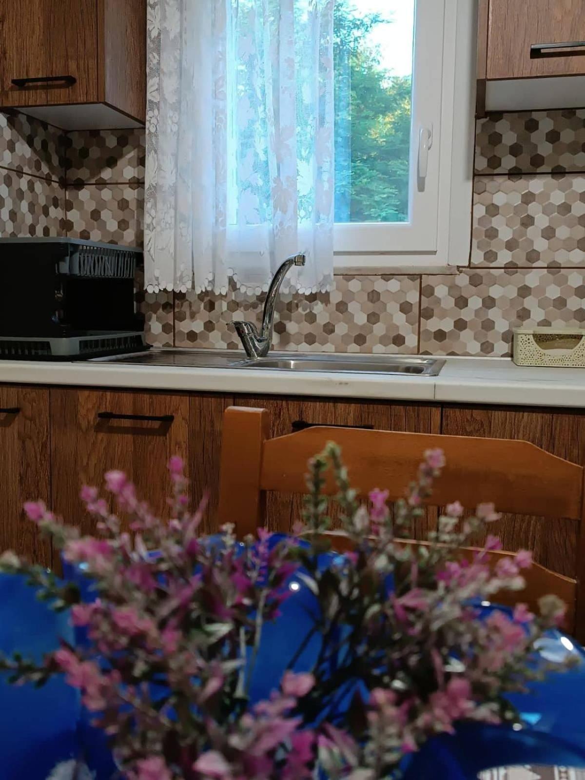 فيلا Billy'S House كالامباكا المظهر الخارجي الصورة